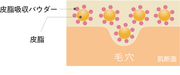 皮脂吸収パウダー