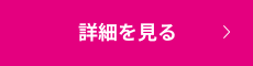 詳細を見る