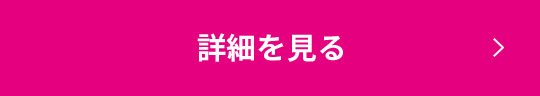 詳細を見る