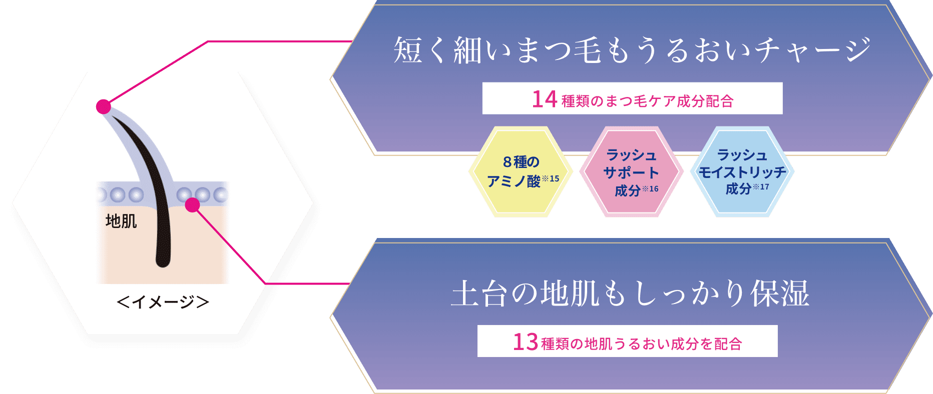 短く細いまつ毛もうるおいチャージ 土台の地肌もしっかり保湿