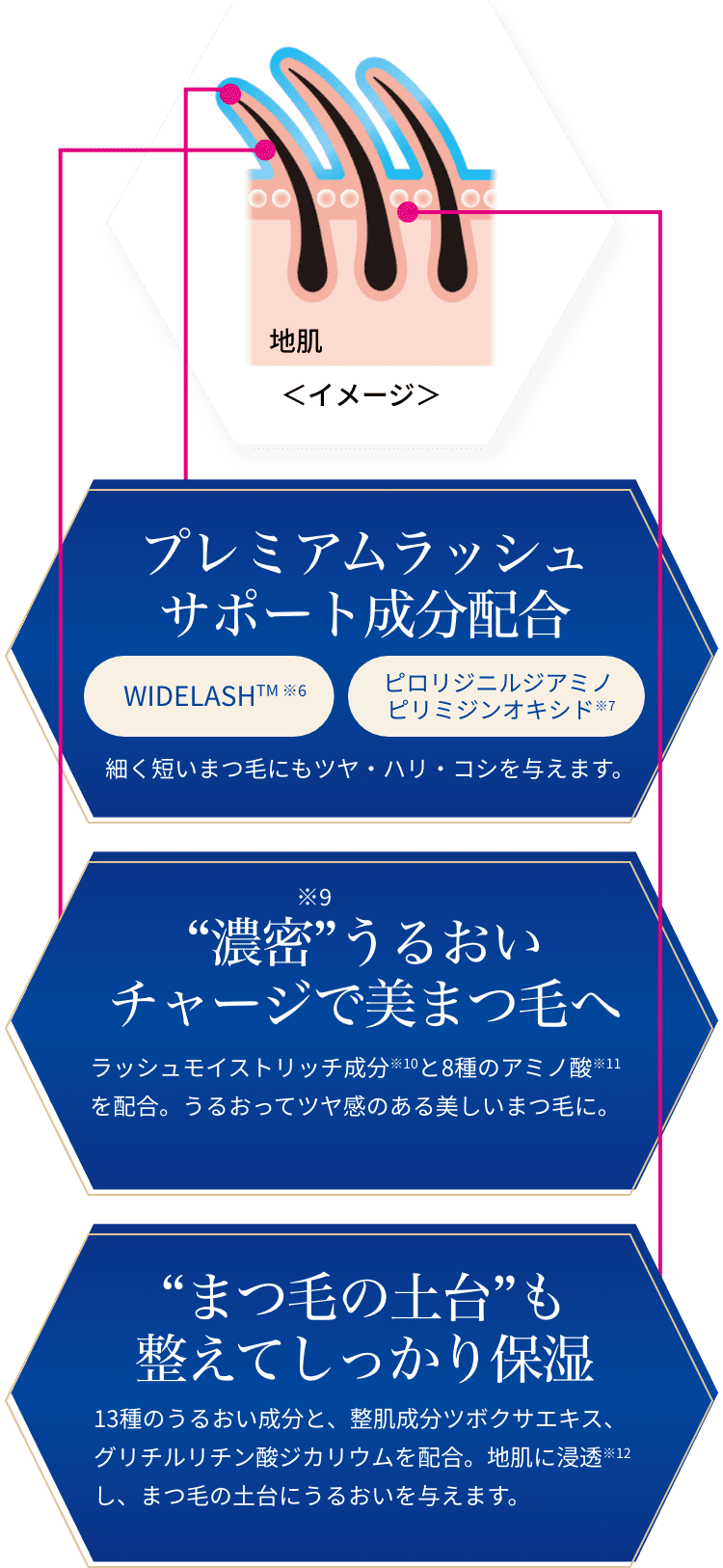 “濃密”※9うるおいチャージで美まつ毛へ ラッシュモイストリッチ成分※10と8種のアミノ酸を配合。うるおってツヤ感のある美しいまつ毛に。 “まつ毛の土台”も整えてしっかり保湿 13種のうるおい成分と、整肌成分ツボクサエキス、グリチルリチン酸ジカリウムを配合。地肌に浸透*し、まつ毛の土台にうるおいを与えます。 ＊角質層まで