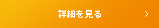 詳細を見る